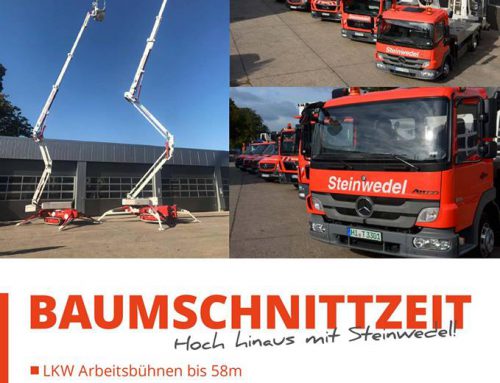 Baumschnittzeit
